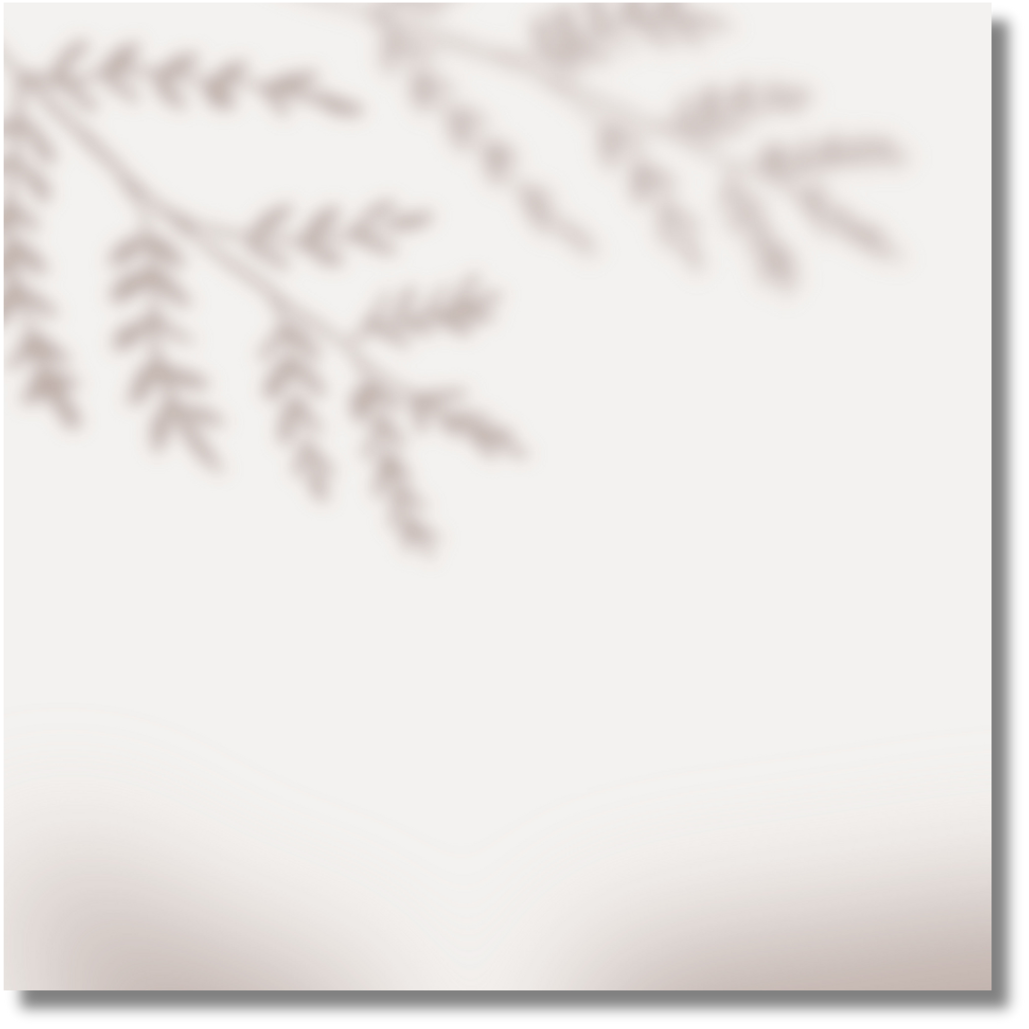 Leaves Shadow Background